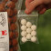 Mini pack Epice