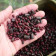 Mélange de pellets Epice 5kg