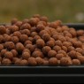 Bouillette Tiger Peanuts 10mm